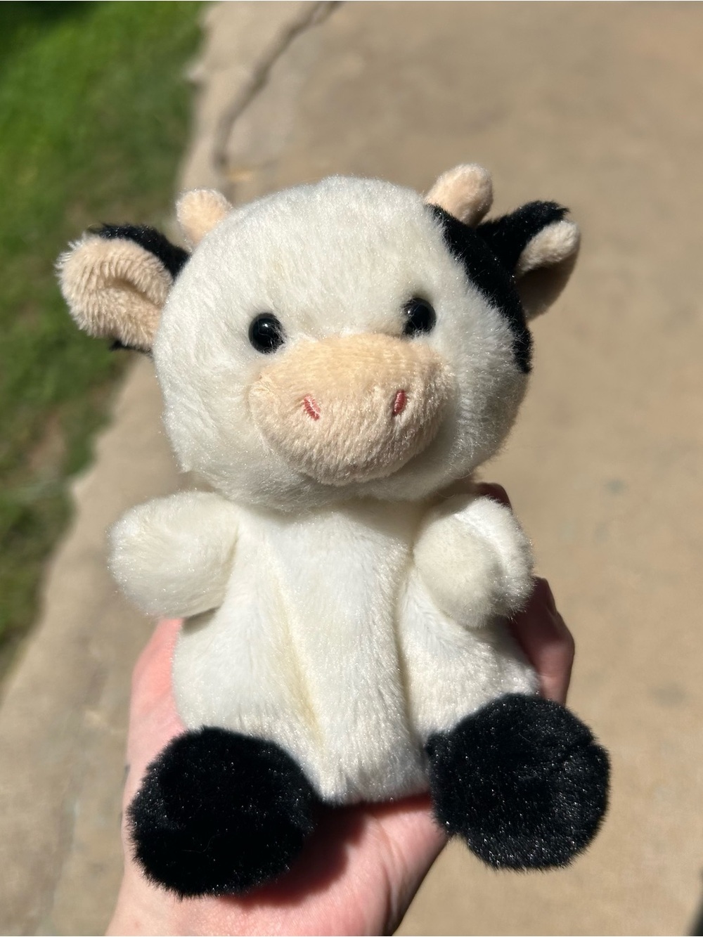 Palm Pal Cow